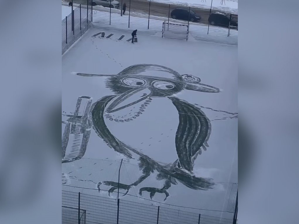 Дворника-художника в Нижнем Новгороде хотят поощрить за картины на снегу Дворника-художника в Нижнем Новгороде хотят поощрить за картины на снегу