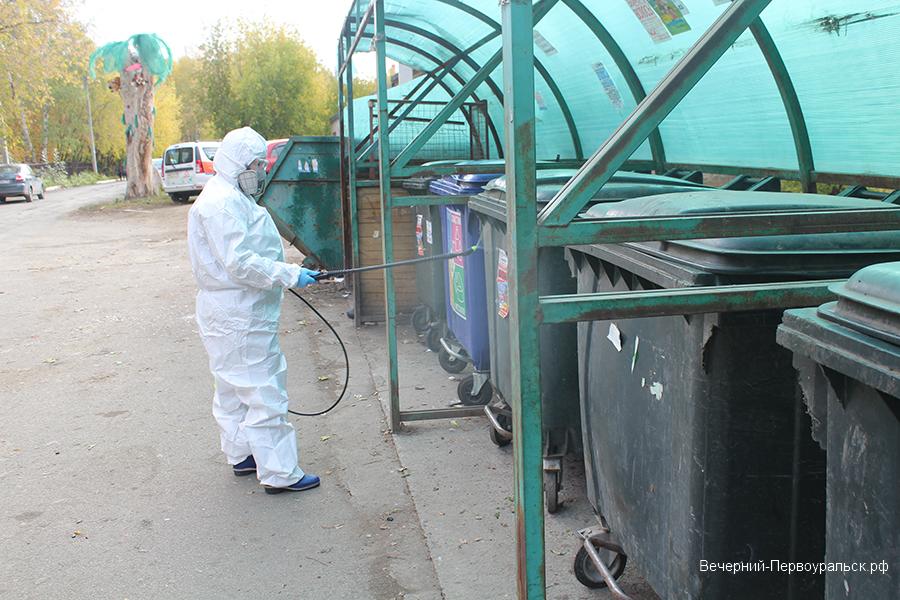 Периодичность промывания мусорных контейнеров и как часто должны обрабатываться контейнерные площадки от крыс и насекомых