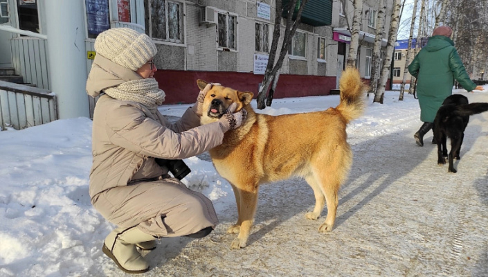 В Думе Сургута обсудили вопрос выгула домашних животных в городских парках