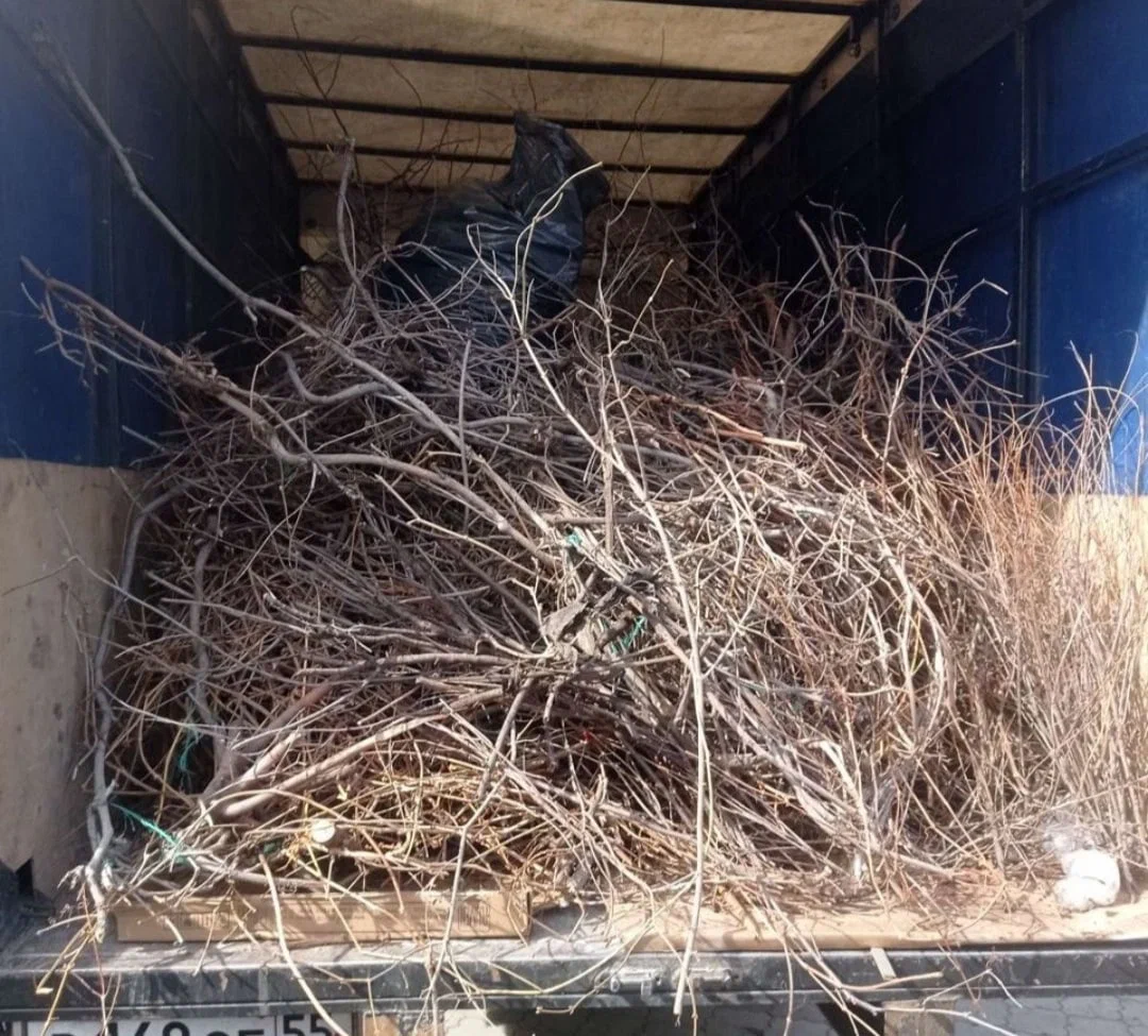  На Дону предложили включить вывоз листвы и веток в смету на содержание домов