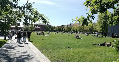 Площадь зеленых зон в Петербурге увеличат почти на 80 гектаров