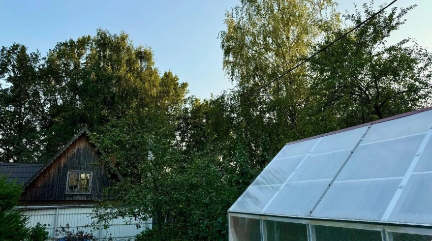 В подмосковных СНТ упразднили плату за вывоз мусора с бесхозных участков