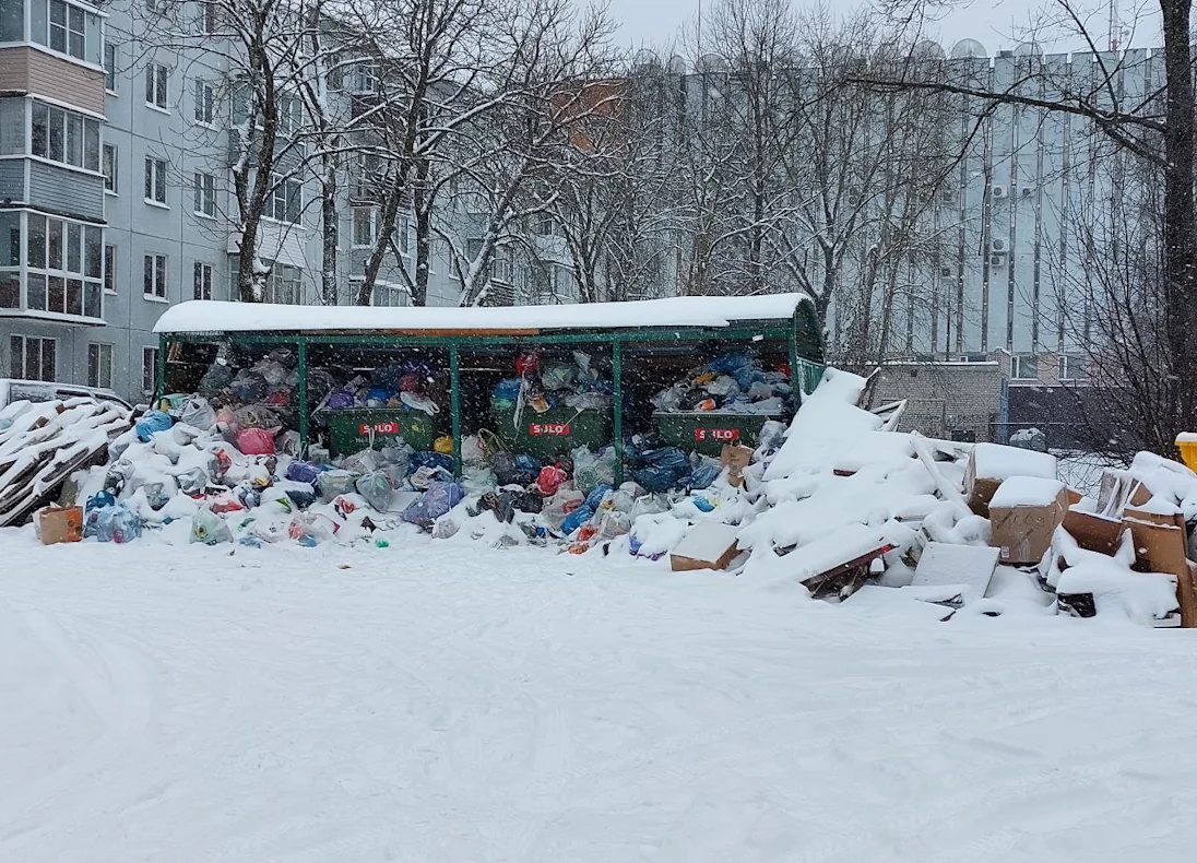 Оператора ТКО оштрафовали в Псковской области