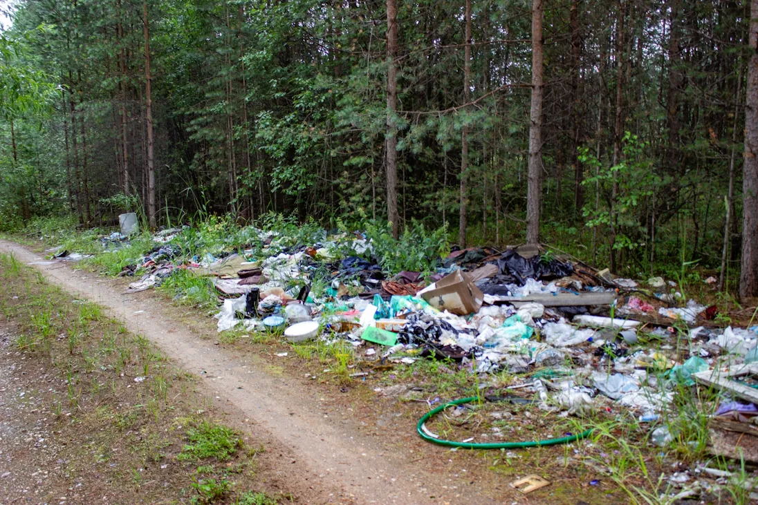 Уборку мусора в лесу возложат на операторов ТКО Уборку мусора в лесу возложат на операторов ТКО