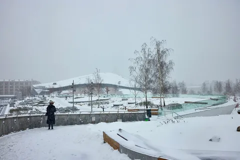 В Москве ожидаются сильный снегопад и шквалистый ветер в ближайшие дни