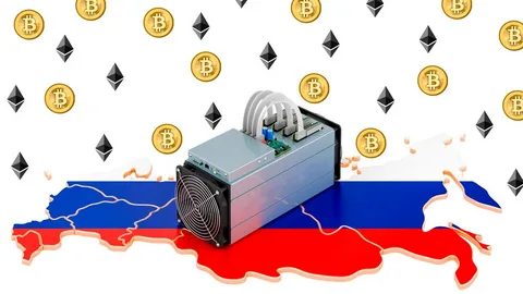 Госдума одобрила законопроект о штрафах за нарушения в майнинге