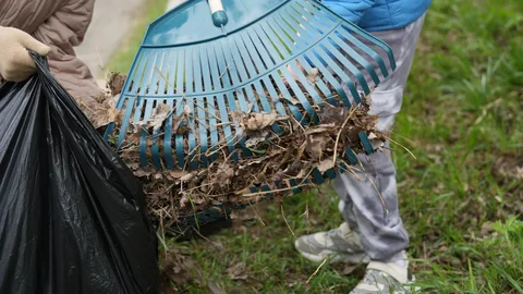 В Подмосковье запустили пилотный проект по вовлечению жителей в субботники