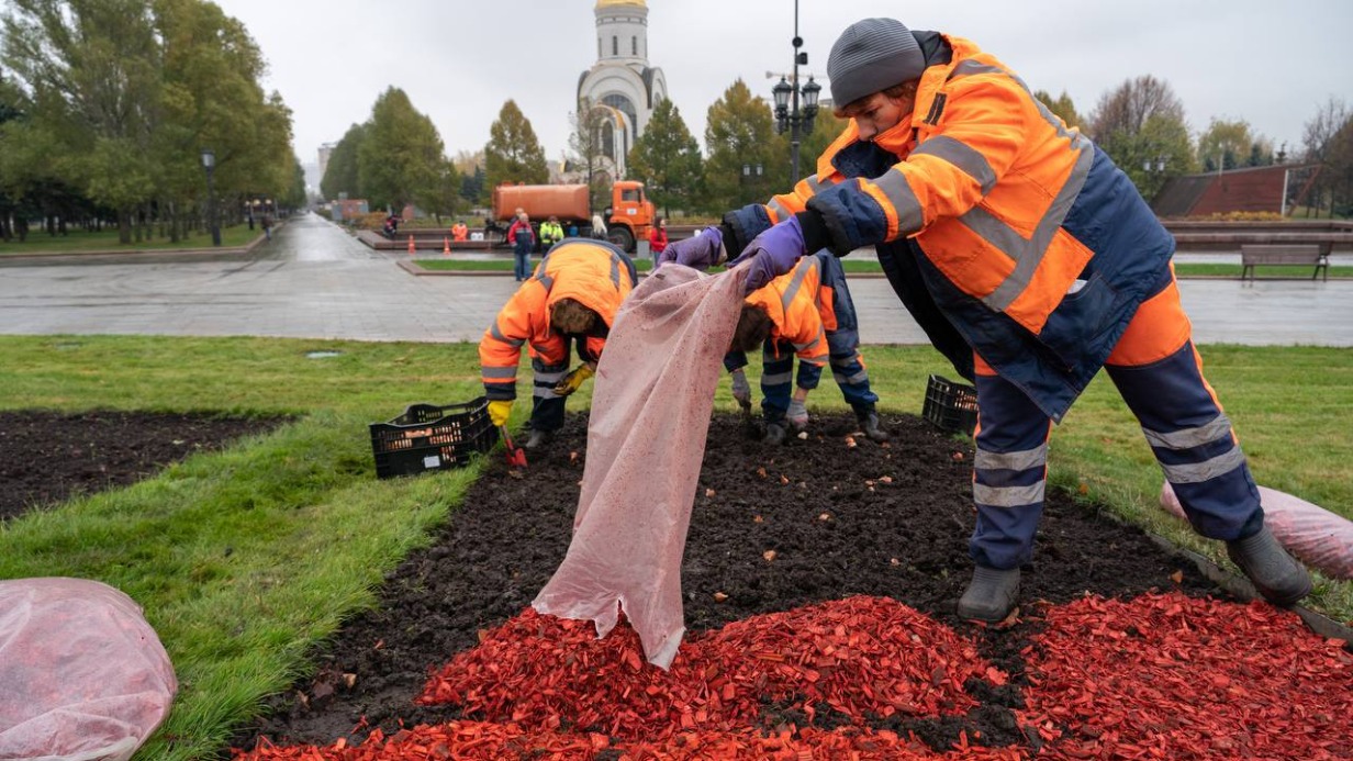 Зимняя подготовка городских цветников завершена Зимняя подготовка городских цветников завершена