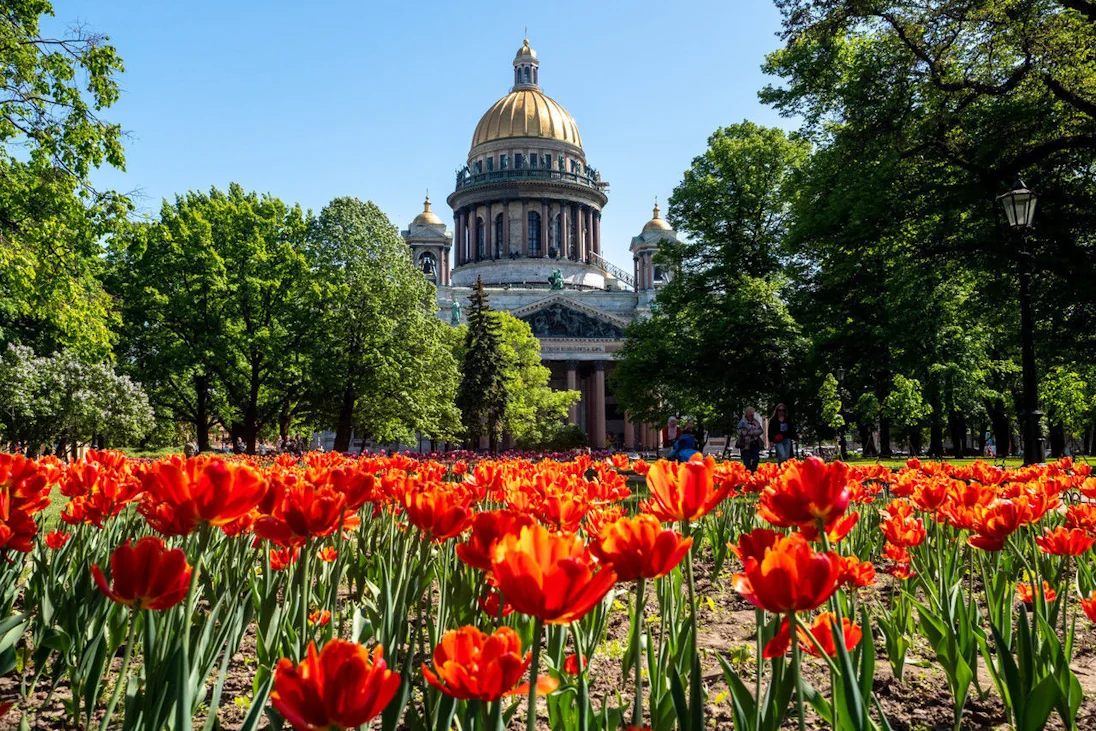 В Санкт-Петербурге высадят более 5 миллионов цветов В Санкт-Петербурге высадят более 5 миллионов цветов