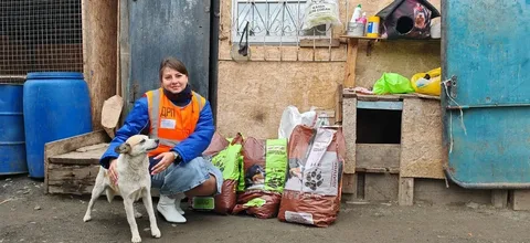 Власти Петербурга направят средства на поддержку приютов для бездомных животных