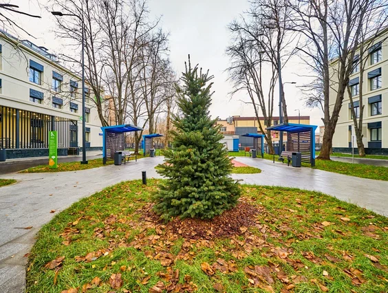 Возле обновлённых поликлиник в Москве высадили около 400 деревьев Возле обновлённых поликлиник в Москве высадили около 400 деревьев