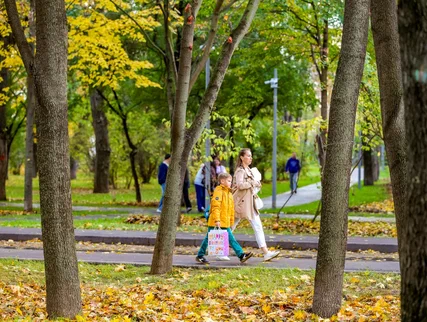На юго-востоке Москвы обновили три сквера