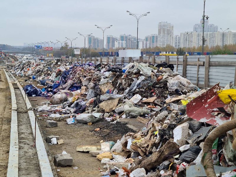 В Москве поймали организаторов несанкционированных свалок