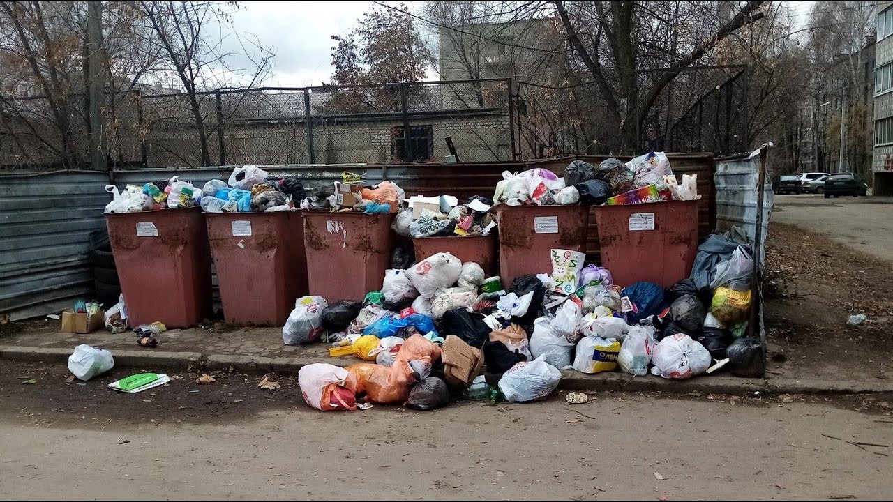 Куда обращаться если мусорный контейнер переполнен и не вывозится Куда обращаться если мусорный контейнер переполнен и не вывозится