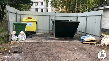 В Госдуме поддержали передачу содержания контейнерных площадок регоператорам