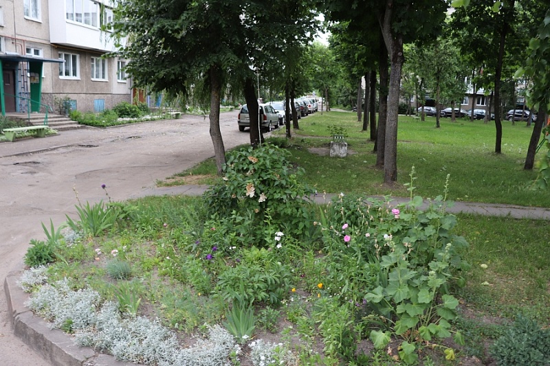              Можно ли высаживать цветы под окнами дома без согласования