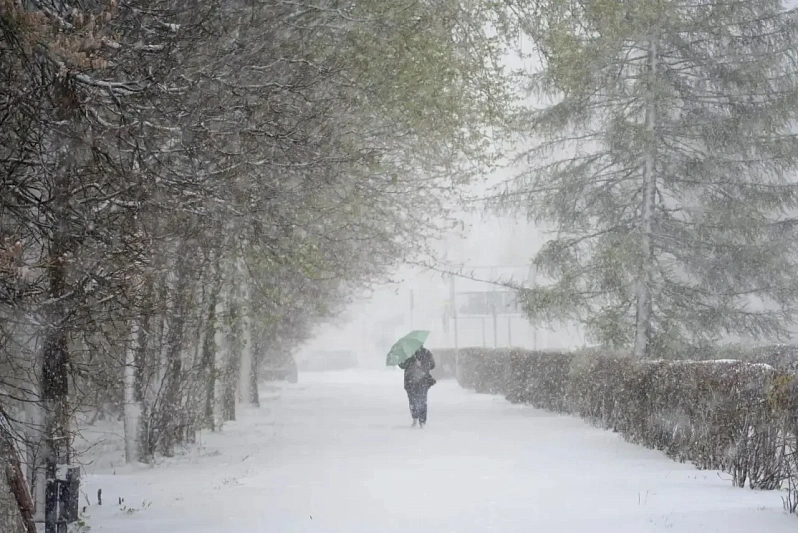 Жителей столицы предупредили об ухудшении погоды и риске падения деревьев
