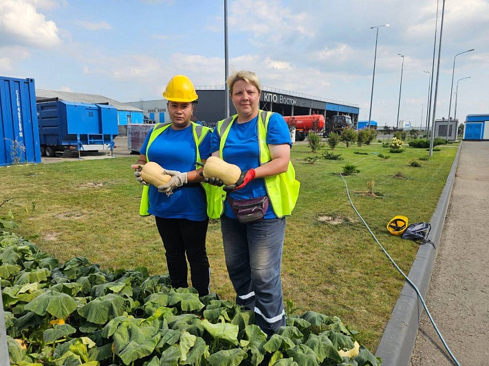 Егорьевский комплекс по переработке отходов экспериментирует с выращиванием овощей на техногрунте