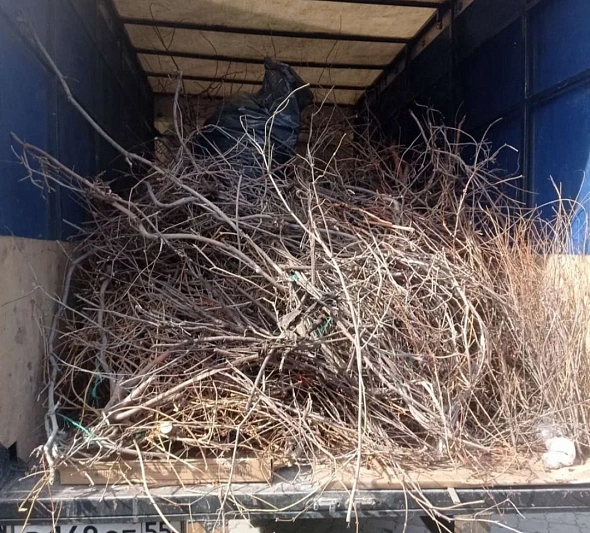  На Дону предложили включить вывоз листвы и веток в смету на содержание домов