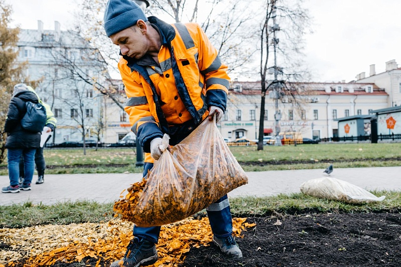 Комплекс городского хозяйства начал высадку тюльпанов на клумбы Москвы