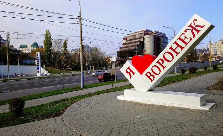 В Воронеже без управляющих компаний остались 1600 многоквартирных домов