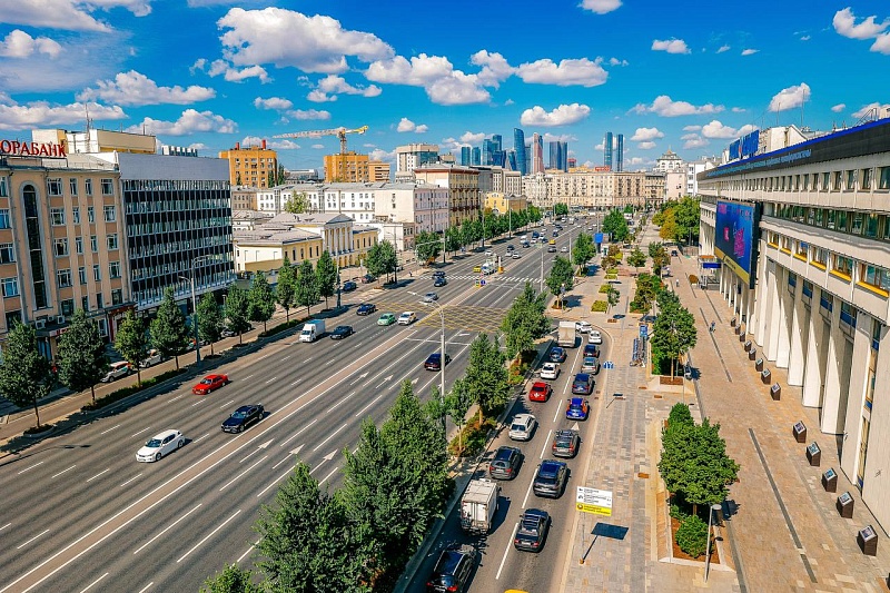 В Москве высадят более 350 тысяч деревьев и кустарников