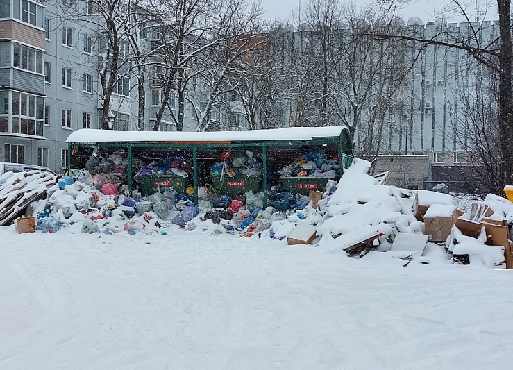 Оператора ТКО оштрафовали в Псковской области