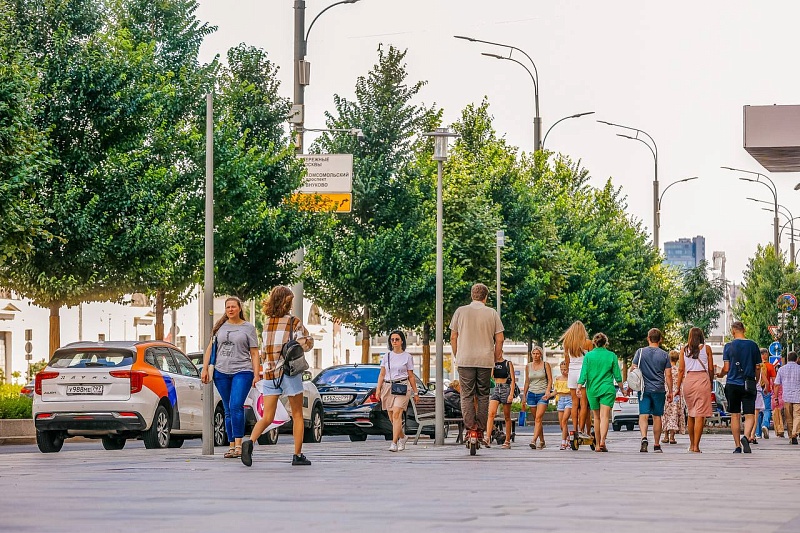 Москва активно озеленяет свои магистрали и улицы: более 4,5 тысяч деревьев высажено в 2024 году