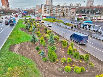 Москва озеленяется: высадка 10 тыс. крупномерных деревьев до конца года