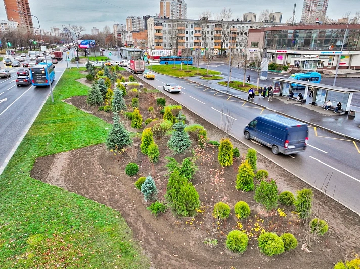 Москва озеленяется: высадка 10 тыс. крупномерных деревьев до конца года