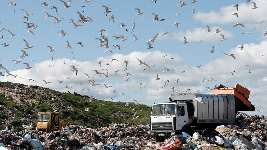 Процедура лишения статуса регионального оператора требует совершенствования