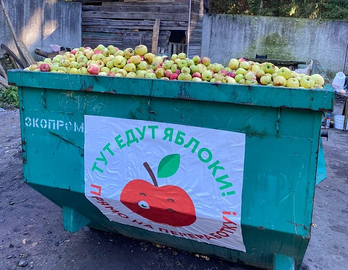 В Московской области начался сбор избыточного урожая яблок и бахчевых культур