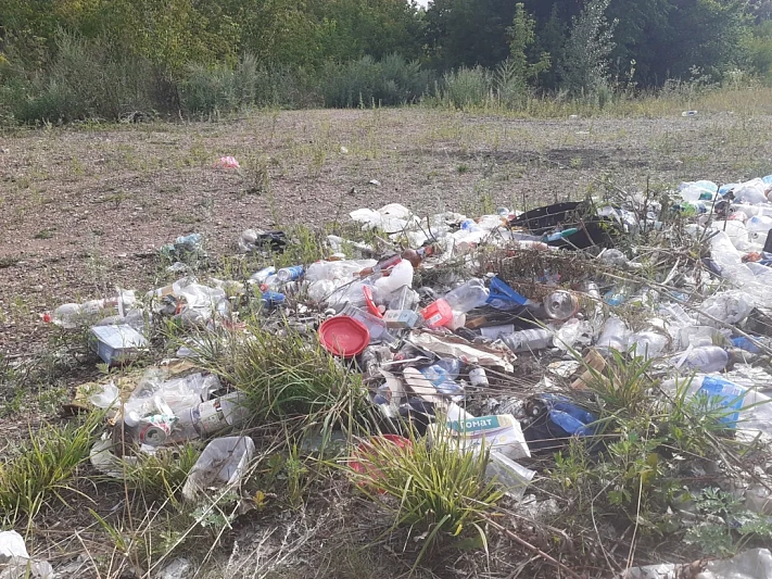 В Башкирии с начала года ликвидировано 495 свалок
