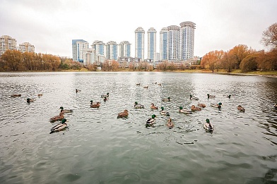 В Москве в 2026 году реабилитируют 13 городских водоёмов