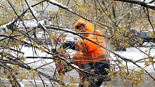 Городские службы продолжают устранять последствия непогоды
