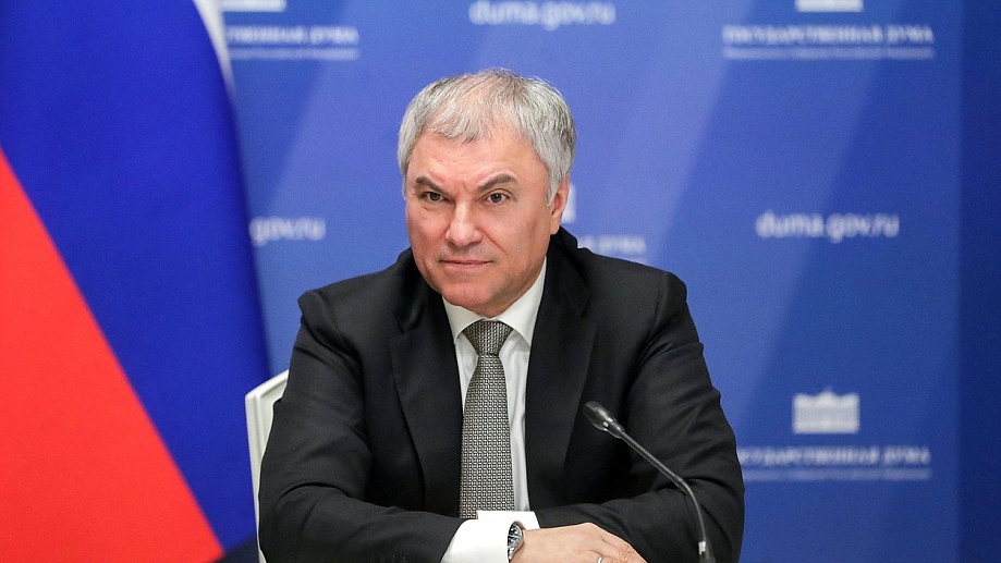 Вячеслав Володин поручил проработать предложения Следственного комитета по защите людей от бездомных животных