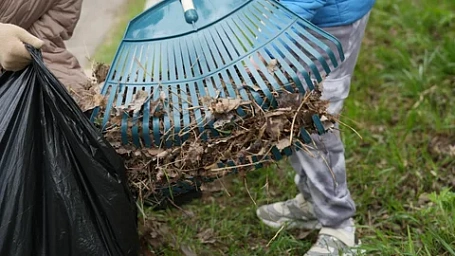 В Подмосковье запустили пилотный проект по вовлечению жителей в субботники