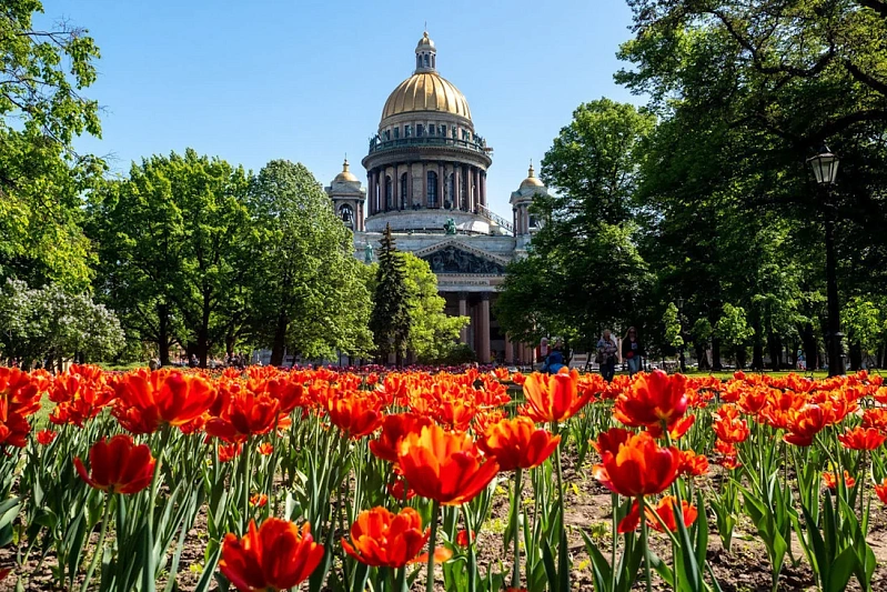 В Санкт-Петербурге высадят более 5 миллионов цветов