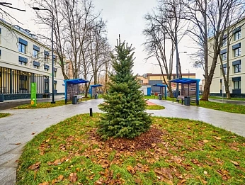 Возле обновлённых поликлиник в Москве высадили около 400 деревьев
