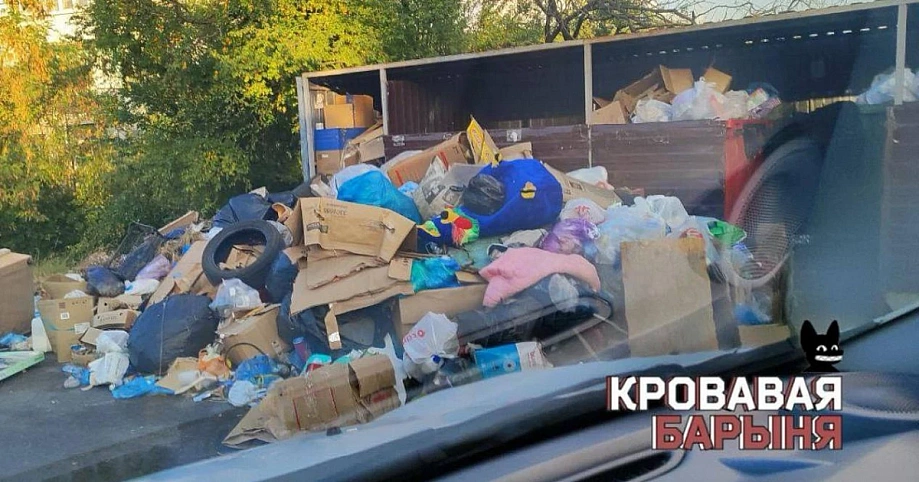 Ксения Собчак осветила ситуацию с мусорным коллапсом в Новороссийске