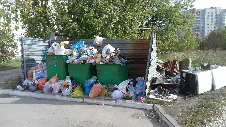 В Оренбурге и Карелии выросли штрафы за мусор около контейнерных площадок