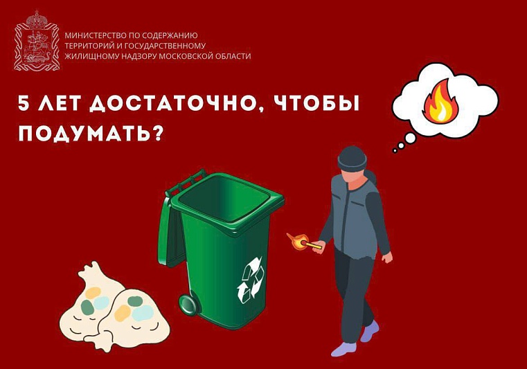 Поджигателей мусорных баков в Подмосковье ждёт уголовная ответственность