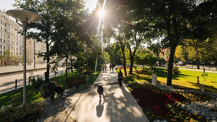 День работника благоустройства предлагают учредить в Московской области