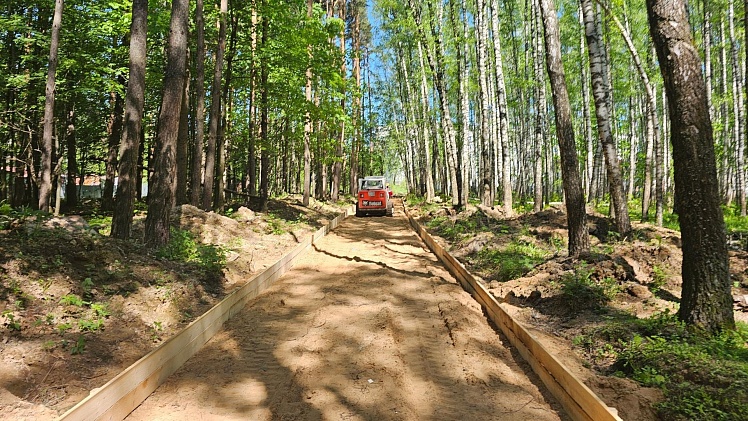 В Подмосковье в 2026 году благоустроят более тысячи «народных троп»